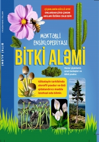 BİTKİ ALƏMİ