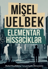 Elementar Hissəciklər