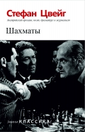 Шахматы