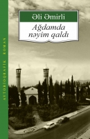 Ağdamda nəyim qaldı - Əli Əmirli