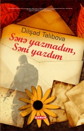 Sənə yazmadım, səni yazdım