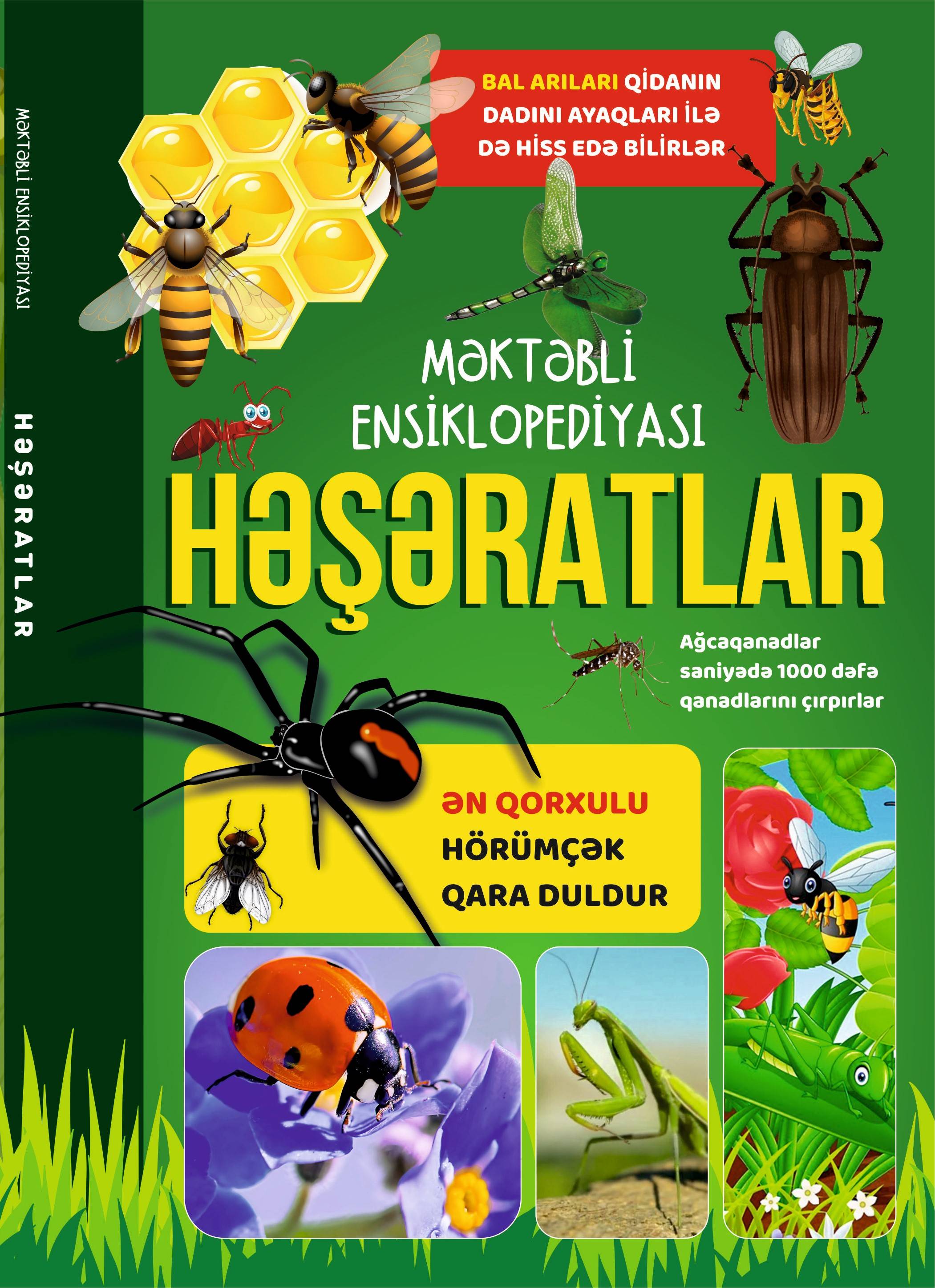 Həşəratlar - Qanun.Az | Kitablar | Ədəbiyyat