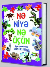 Nə, niyə, nə üçün 