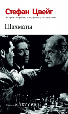 Шахматы 