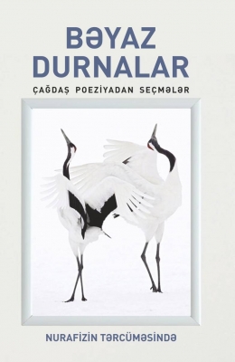 Bəyaz durnalar (Nurafizin tərcüməsində) 