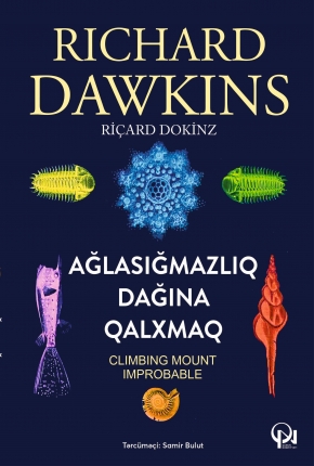 Ağlasığmazlıq dağına qalxmaq