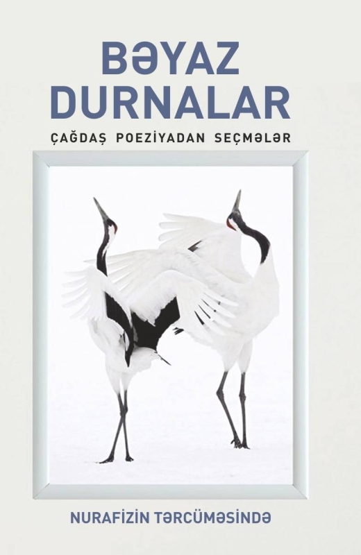 Bəyaz durnalar (Nurafizin tərc&uuml;məsində) 