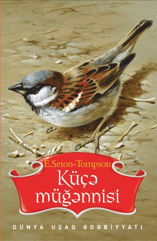 K&uuml;&ccedil;ə m&uuml;ğənnisi