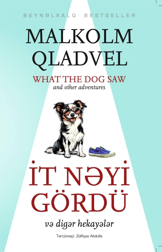 İt nəyi g&ouml;rd&uuml;