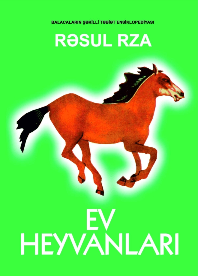 Ev heyvanları